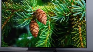 Телевизор LG OLED65C3RLA 2023