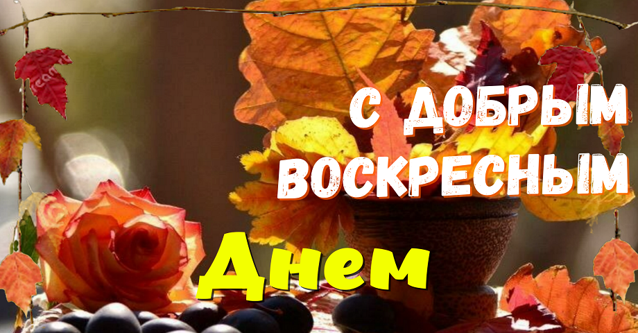 Хорошего Воскресенья!? Замечательного Воскресенья!