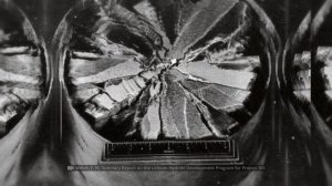 How Atomic and Hydrogen Bombs Work In 10 Minutes