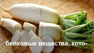 Дайкон - Очень Полезный Чудо-Плод, Интересные факты