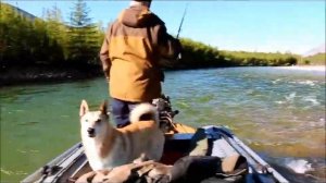 Абакан 420 jet