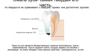 3 курс. Тема №1. Некариозные поражения зубов. Классификация. Методы диагностики.