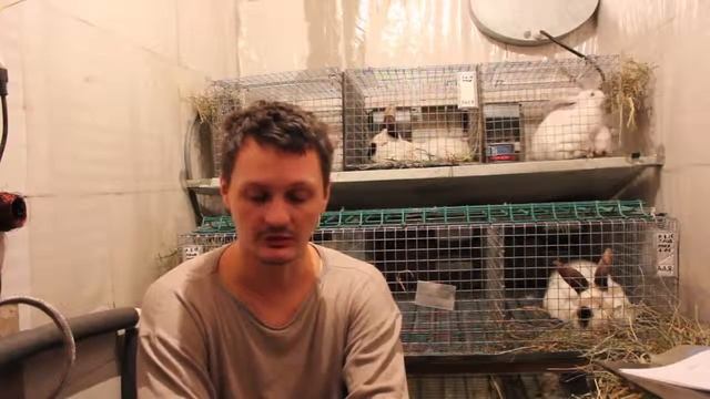 Как я открыл КФХ Зима как Юридическое лицо