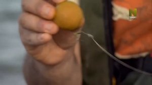 Ловля  Карпа  6 серия I ВЕНГРИЯ