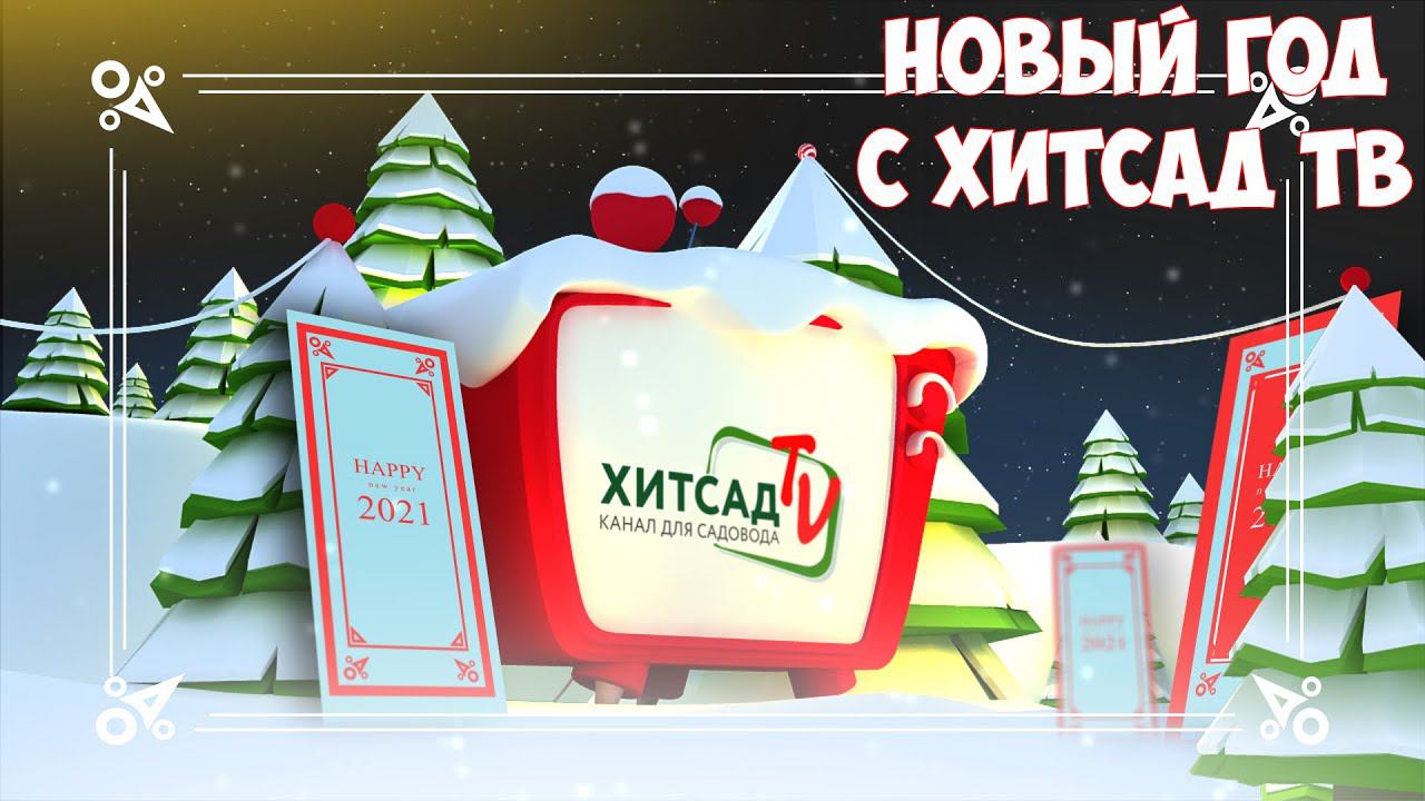 Как выращивать огурцы дома ✔️Как выбирать семена на рассаду ✔️  Новый год с Хитсад ТВ