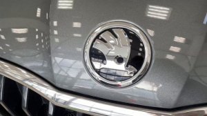 Специальная серия SKODA RAPID Hockey Edition 2021
