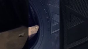 ОБЗОР: Грузовая шина Forza REG T 385/65 R22.5 160K