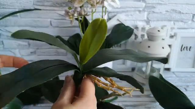 Как выбрать листья для искусственных орхидей смотреть онлайн