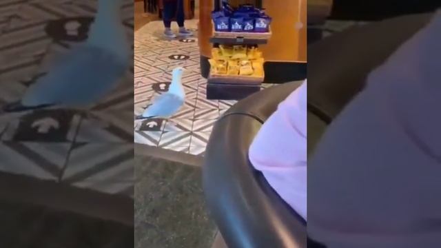 Smooth Criminal.