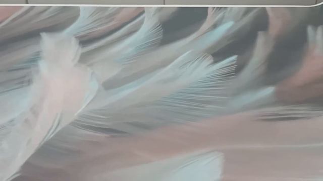 Бумажные фотообои встык VEROL "Перья" фотообои на стену, отделка стен декор и интерьер фотообои смотреть онлайн