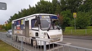 Орёл паз вектор некст и паз вектор