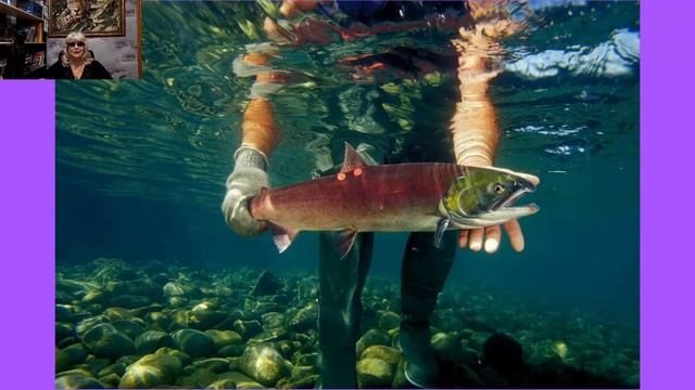 11. Тема: БАЙКАЛ и его обитатели. смотреть онлайн