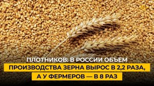 Плотников: в России объем производства зерна вырос в 2,2 раза, а у фермеров — в 8 раз