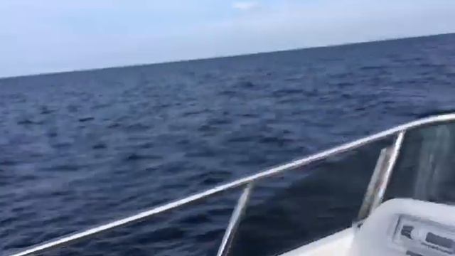 Ладога - Валаам - Коневец - Приозерск -На всепогодном катере Морском внедорожнике Nord Star Patrol