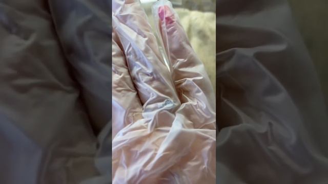 Первая кобея проснулась🥳 #посев #рассада смотреть онлайн