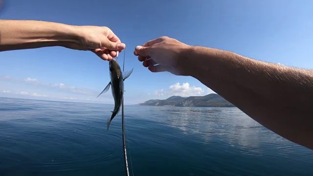 Ловим на Малом Утрише с лодки! Рыбалка на Черном Море) Рыбы полно!