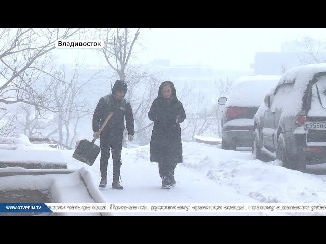 Дворники люди. Владивосток работа дворник. Узбеки убирают снег. Дворник во владивостоке. Чистка снега вручную.