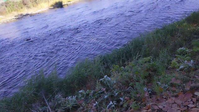 сплав уток😂когда все думаю, что ты под чем то😅, но ты просто дурачек🤭😂 смотреть онлайн