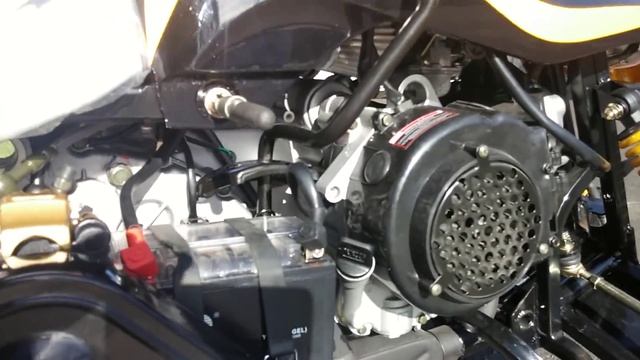 Предварительное Видео Снегоход DINGO T150 по кругу! смотреть онлайн