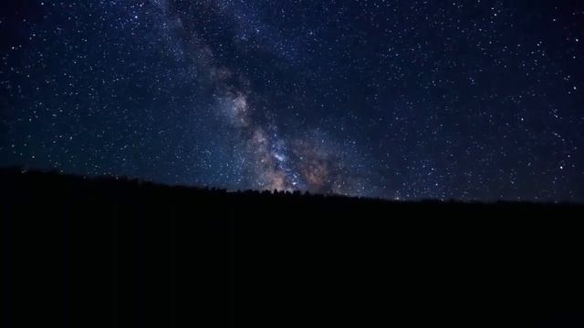 К чему снится КРЫСА или видеть во сне КРЫСУ | Толкование снов | Сонник Sk1.online смотреть онлайн