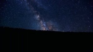 К чему снится КРЫСА или видеть во сне КРЫСУ | Толкование снов | Сонник Sk1.online