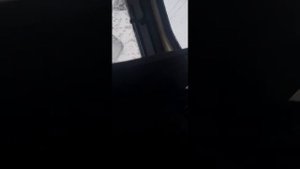 МАЗ 6516 пляски с реле поворотов
