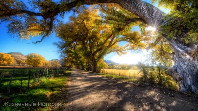 Девушка влюбилась в красивого парня, но узнав что он вытворял раньше решила его проучить, но однажд смотреть онлайн