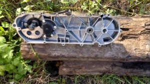 кишочки Skymoto Fortune 50