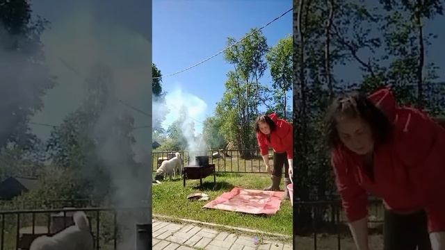 готовлю покушать собачкам/ стираю коврик ???