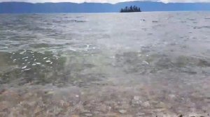 Антон Увангур-Салгалдар от Владимира Пахомова