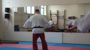 Семинар по технике с длинной палкой.mp4