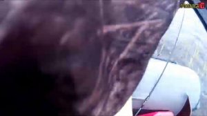 Рыбалка.Рыбалка не реке Свирь.Открытие сезона. Тролинг на Свири.