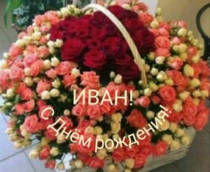 С Днём рождения, Иван!
