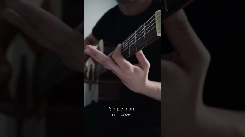 Simple man (mini cover)