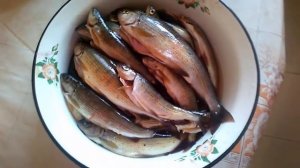 Жареный хариус
