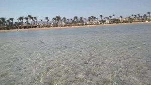 Aurora Oriental Resort Sharm El Sheikh 5* иду с моря на пляж