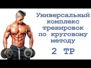 Универсальный комплекс тренировок по круговому методу (2 тр)