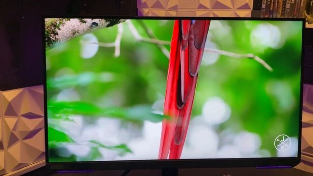 Monitor Samsung Odyssey G70A 4K UHD 2160P HDMI 2 1 144HZ смотреть онлайн