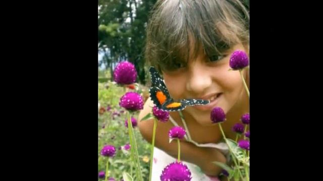 Enchanted Gardens Antigua Guatemala смотреть онлайн