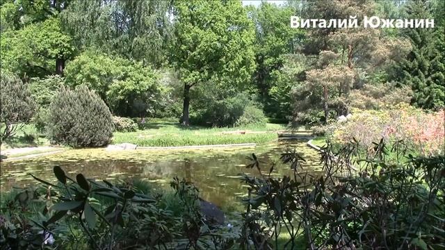 Японский сад в главном ботаническом саду Москва