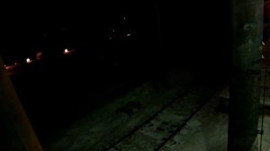 РЖД Ласточка скоростной эл.-поезд 160км-ч Саблино