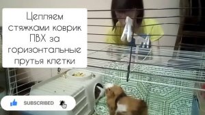 Гамак для морской свинки своими руками от А до Я?