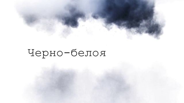 черно-белая лошадка