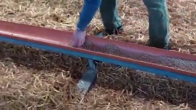 Кормление ягнят и молодняка смотреть онлайн