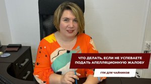 Что делать, если не успеваете подать апелляционную жалобу? | ГПК для чайников