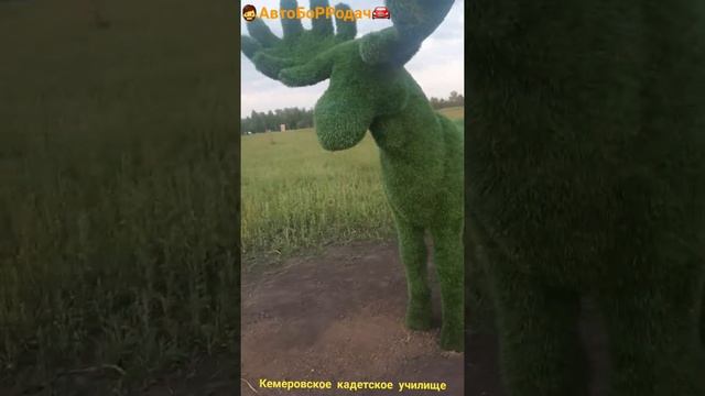 Кемеровское президенское кадетское училище (сквер, парк, аллея) прогулка