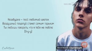 Текст Незабудка.