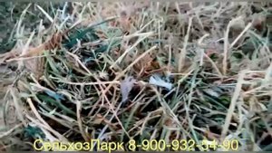 Поломка и Ремонт пресс подборщика Sipma Z224
