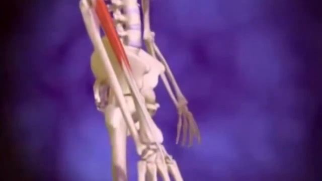 Боль в локте или эпикондилит смотреть онлайн