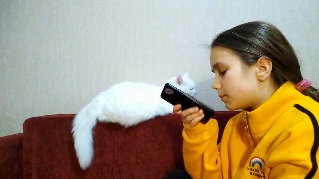 Разговариваю с котом через кошачий переводчик 😺👩
